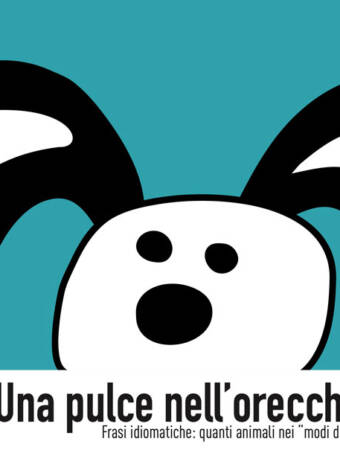 DA116 Una pulce nell'orecchio di Carola Sessarego