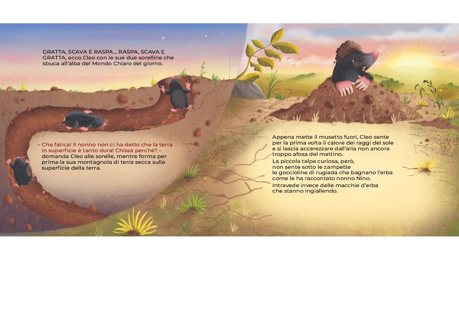 IL PUNTO DI DOMANDA DELLE TALPE - immagine 4